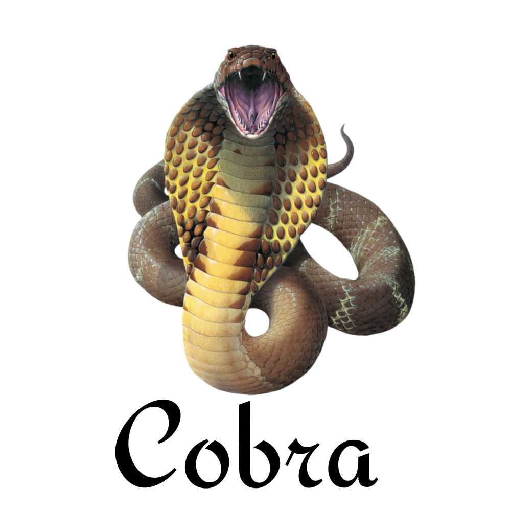 Cobra IPTV